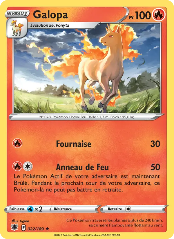 Rapidash