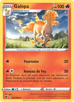 Rapidash