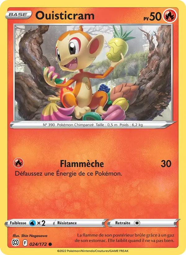 Chimchar