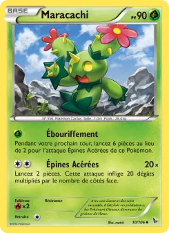 Maractus
