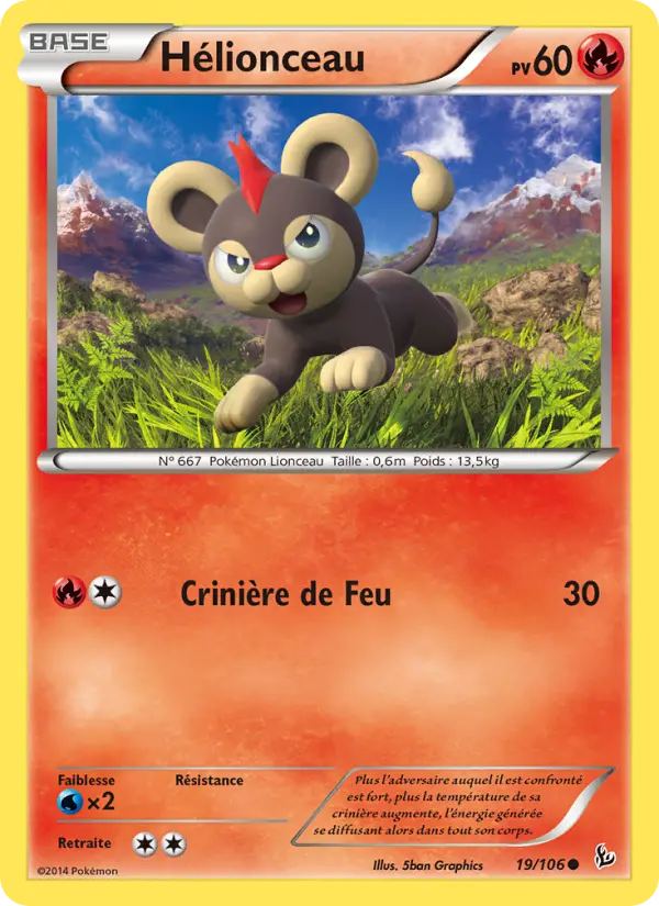 Litleo