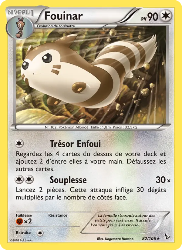 Furret