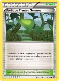 Forest of Giant Plants