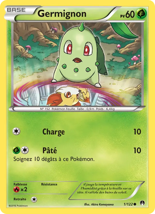 Chikorita