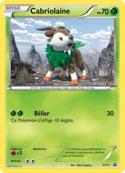 Skiddo