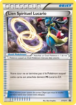 Lucario Spirit Link