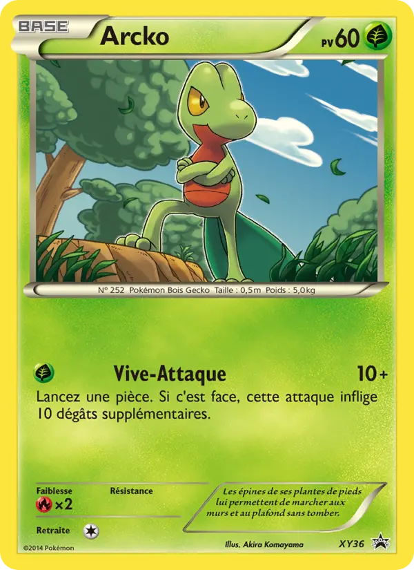 Treecko