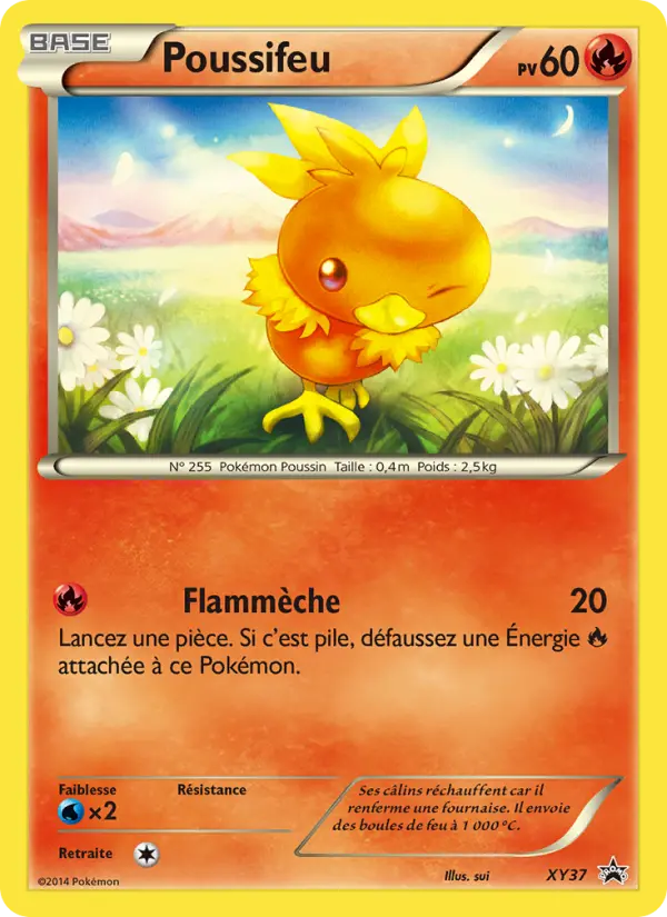 Torchic