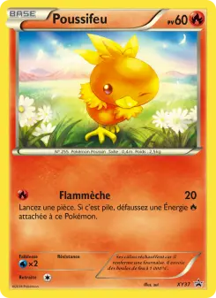 Torchic