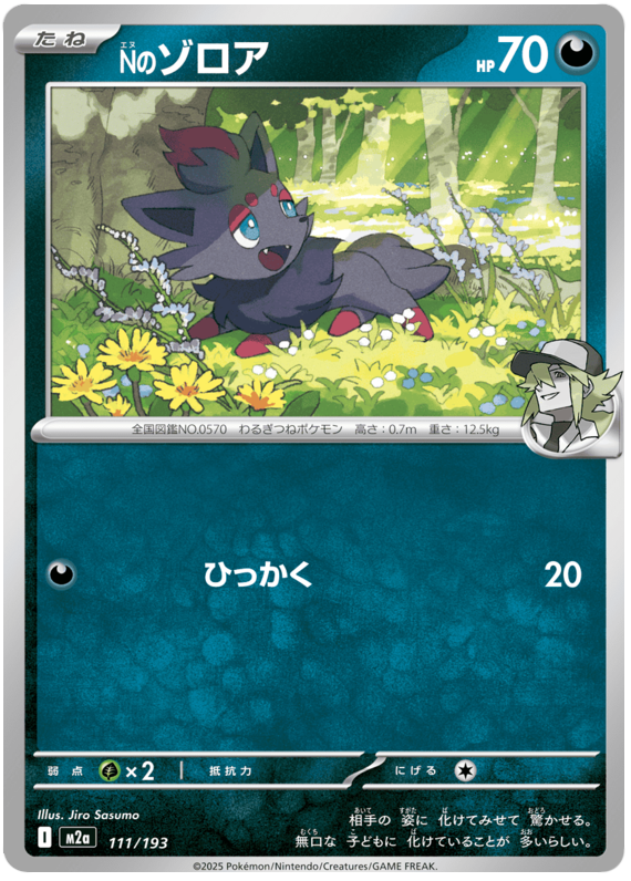 N's Zorua