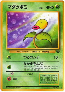 ベルスプラウト