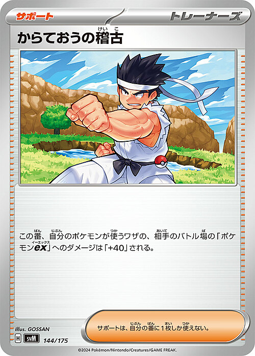 Karate Master's Training