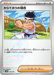 Karate Master's Training