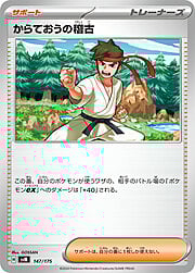 Karate Master's Training