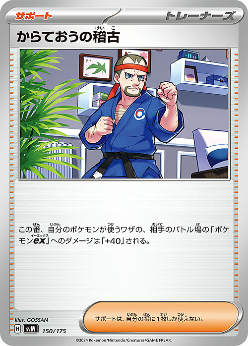 Karate Master's Training