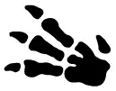 Fossile