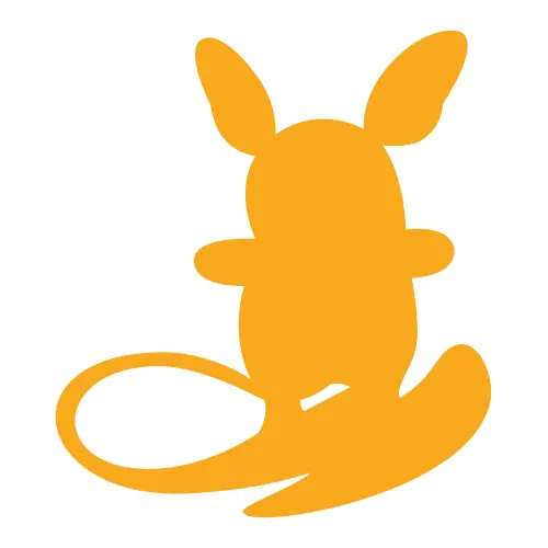 SM Kit du dresseur (Raichu d'Alola)